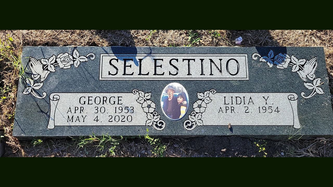 China Green China Green