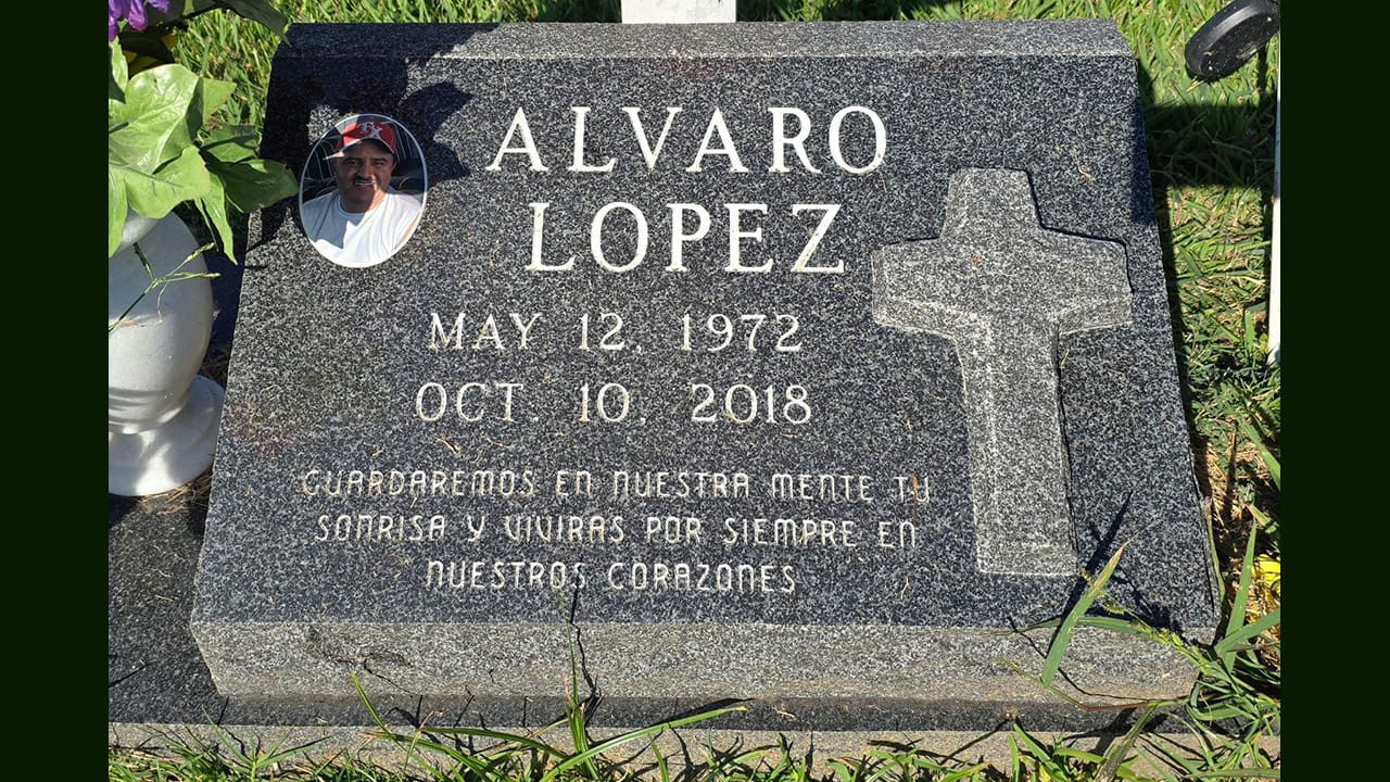 India Mist India Mist